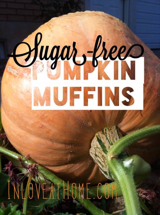 pumpkin muffins