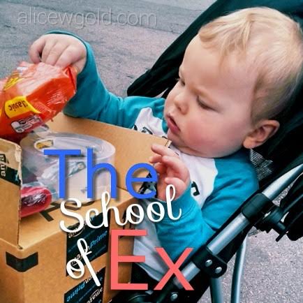 school of ex